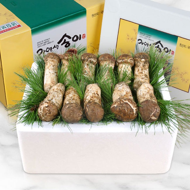 국내산 냉동송이버섯 (특상품1) 1kg