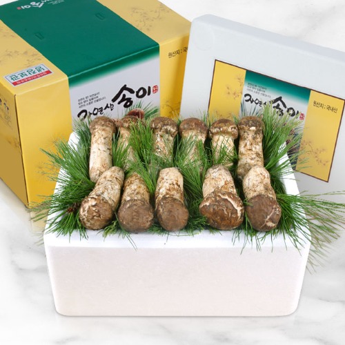 국내산(냉동)자연송이버섯 (특상품1) 500g
