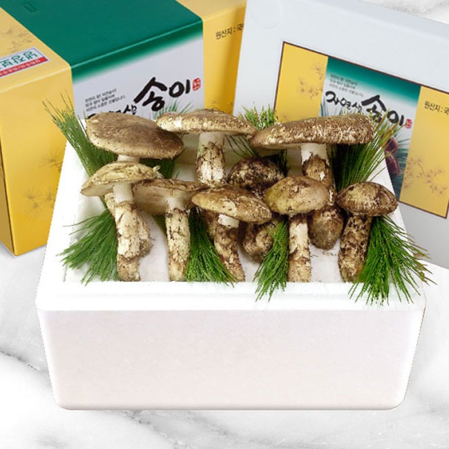 [참자연] 자연산 송이버섯 (냉동/등외품) 1kg