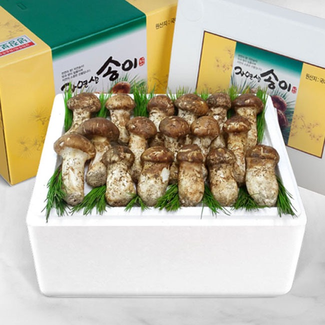 [참자연] 자연산 송이버섯 (냉동/상품3) 1kg